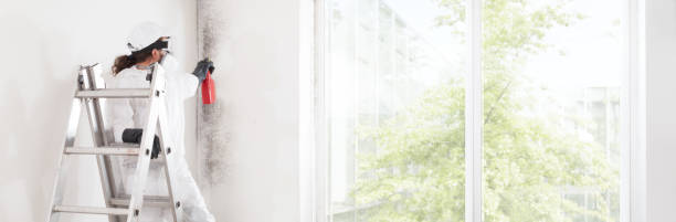 Mold Remediation for Vacation Homes in Roseland, NJ